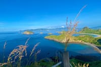 Small Group Komodo Fast Boat Tour with Padar Island & Pink Beach 4