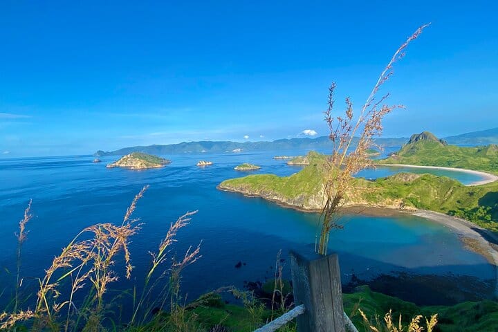 Small Group Komodo Fast Boat Tour with Padar Island & Pink Beach 4
