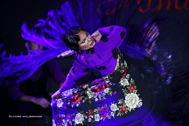 Discover Palma’s Unique Flamenco Experience at Tablao Flamenco Alma