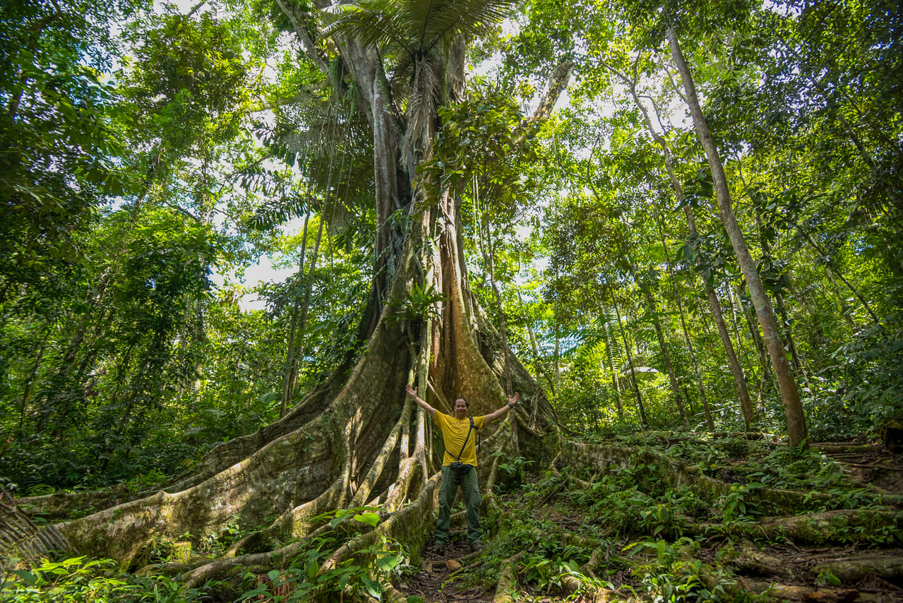 4 Day Trip To Pacaya Samiria In Iquitos 9