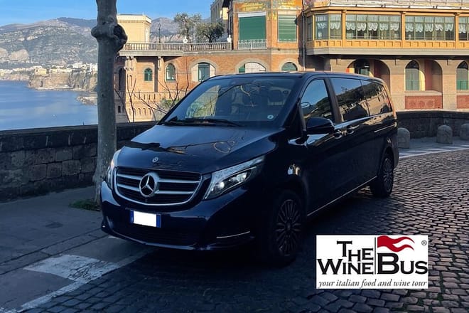 Mercedes Benz Class V