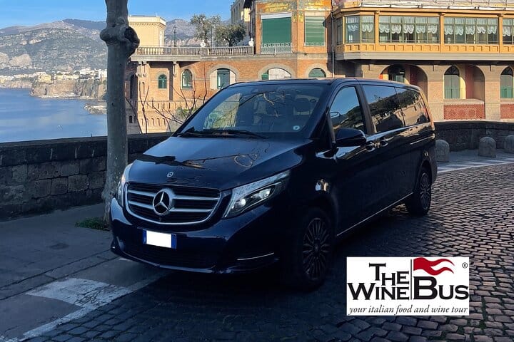 Mercedes Benz Class V