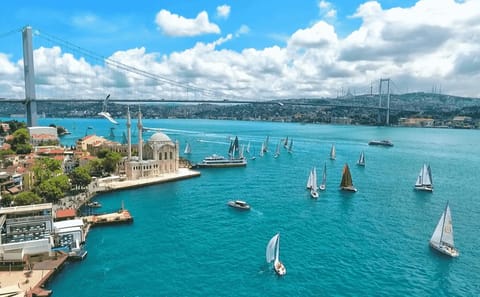 Guided Half-Day Tour of Istanbul's Historic Old City