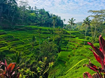 Tegalalang