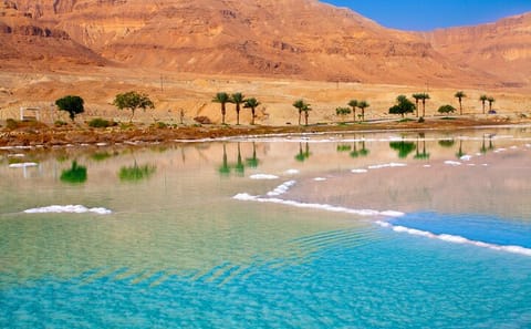 Private Day Trip to the Dead Sea from Wadi Rum Village