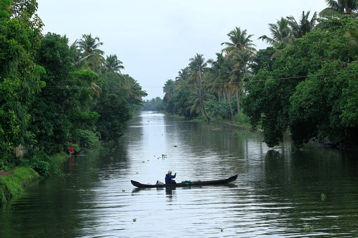 Backwater Bliss: Alleppey Day Cruise with Lunch
