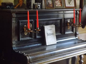 Bonn Walking Tour (In the footsteps of Ludwig Van Beethoven)