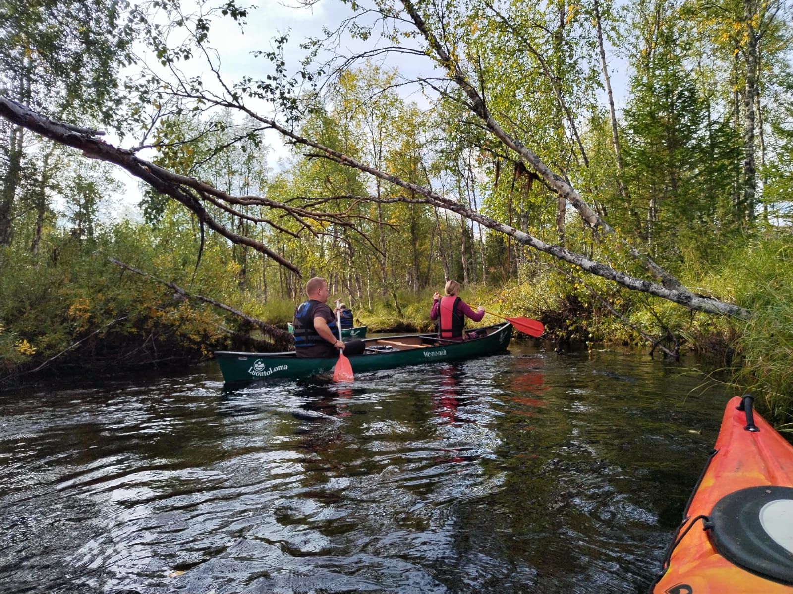 River is narrow and there is fallen trees that you need to go round but that is fun!