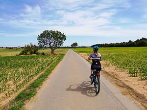 E-Bike Tour Medieval Villages + winery visit