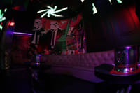 Ultimate Party in Miami : Booze Cruise with Free Open Bar, Nightclub & Party Bus 5