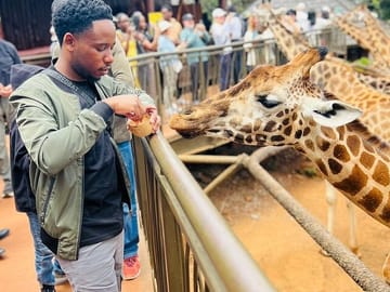 Nairobi National Park Giraffe Center Carnivore Lunch