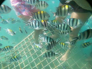 Private Wooden Raft Tour to Gili Kedis from Lombok