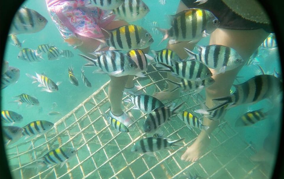 Private Wooden Raft Tour to Gili Kedis from Lombok
