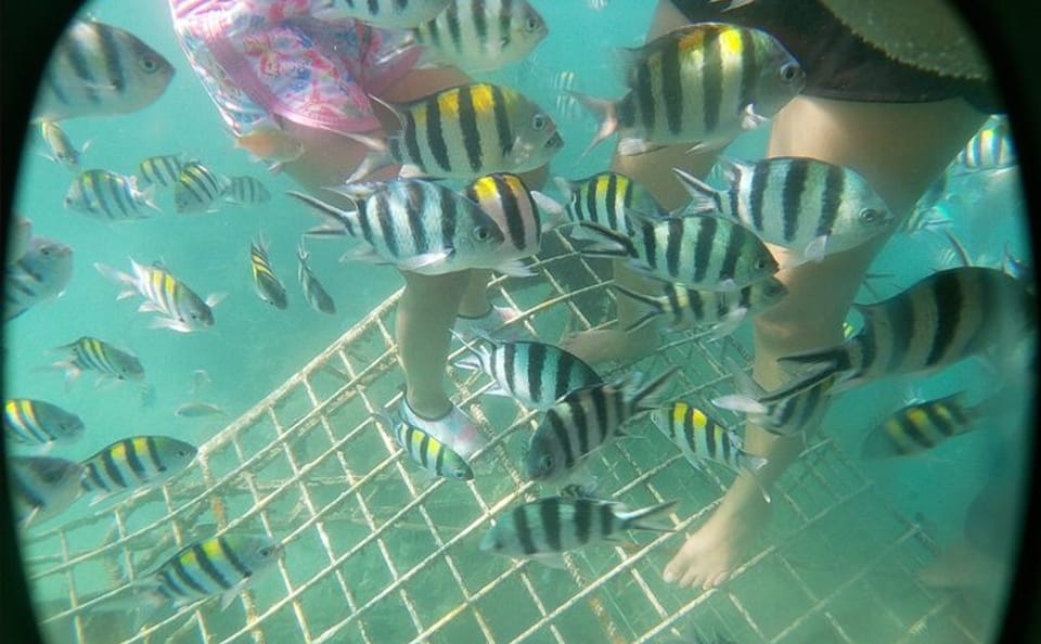 Private Wooden Raft Tour to Gili Kedis from Lombok