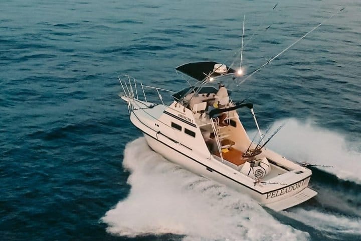 Private Cabo Full-Day Sportfishing: Hunt for Marlin, Tuna, Dorado 2