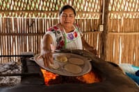 Mayan Experience from Costa Maya