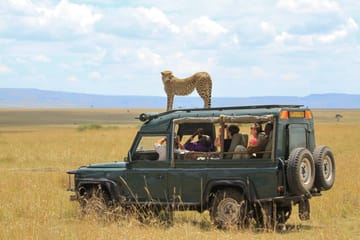 Full-Day African Safari Adventure in Kampala, Uganda