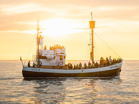 Midnight Sun Whale Watching from Húsavík, photo 2