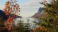 Fjord Sightseeing - TeslaX Electric car 1