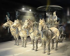 Private Half Day Tour to Terra Cotta Warriors Museum from Xian 