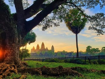 Prek Toal Birds Sanctuary & floating Village Private Tours from Siem Reap