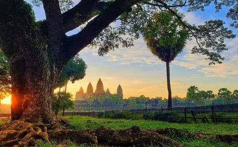 Private Angkor Wat Sunrise and Temple Highlights Tour