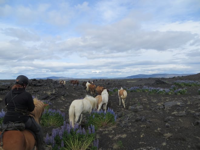 17 - Landmannalaugar photo 2