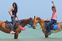 Hurghada : Horse Riding 2 Hours Sea & Desert with Transfer 3