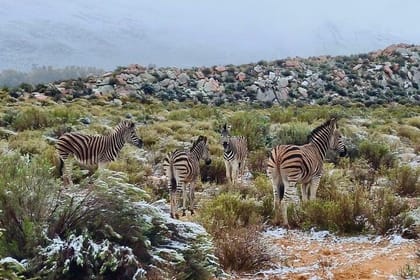 Big 5 Game Reserve Sunset Safari