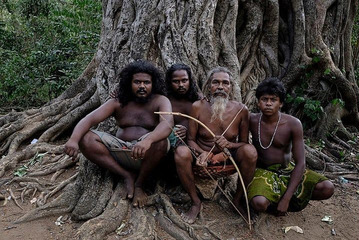 Family Getaway With Kingfisher Tours | 8 Days