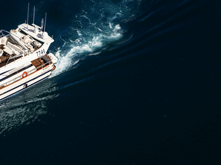 2.5-3 Hour Private Whale Watching on a yacht in Reykjavík, photo 10