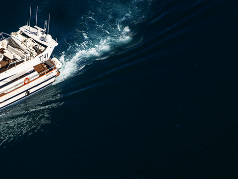 2.5-3 Hour Private Whale Watching on a yacht in Reykjavík, photo 10