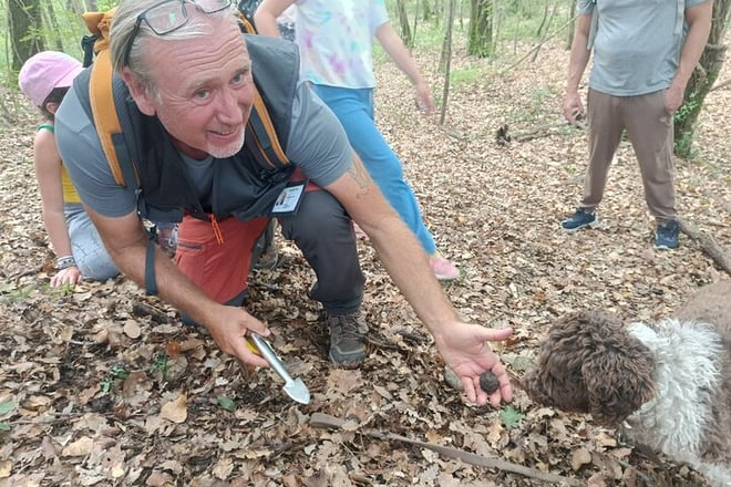 Truffle hunting experience with lunch and Chianti wine tasting - Photo 1