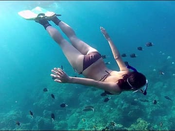 Phu Quoc Pro-Guided Coral Reef Diving Experience