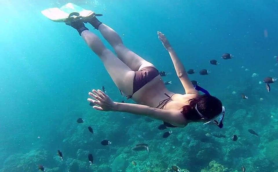 Phu Quoc Pro-Guided 1Day Tour Coral Reef Diving