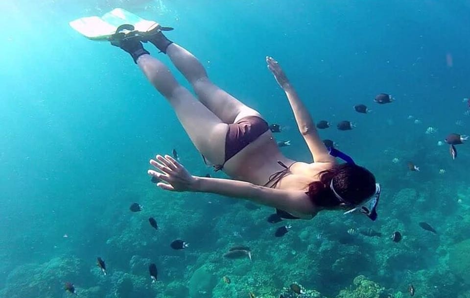 Phu Quoc Pro-Guided 1Day Tour Coral Reef Diving