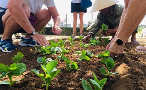 Hoi An Market and Cam Thanh Vegetable Village Cooking Class