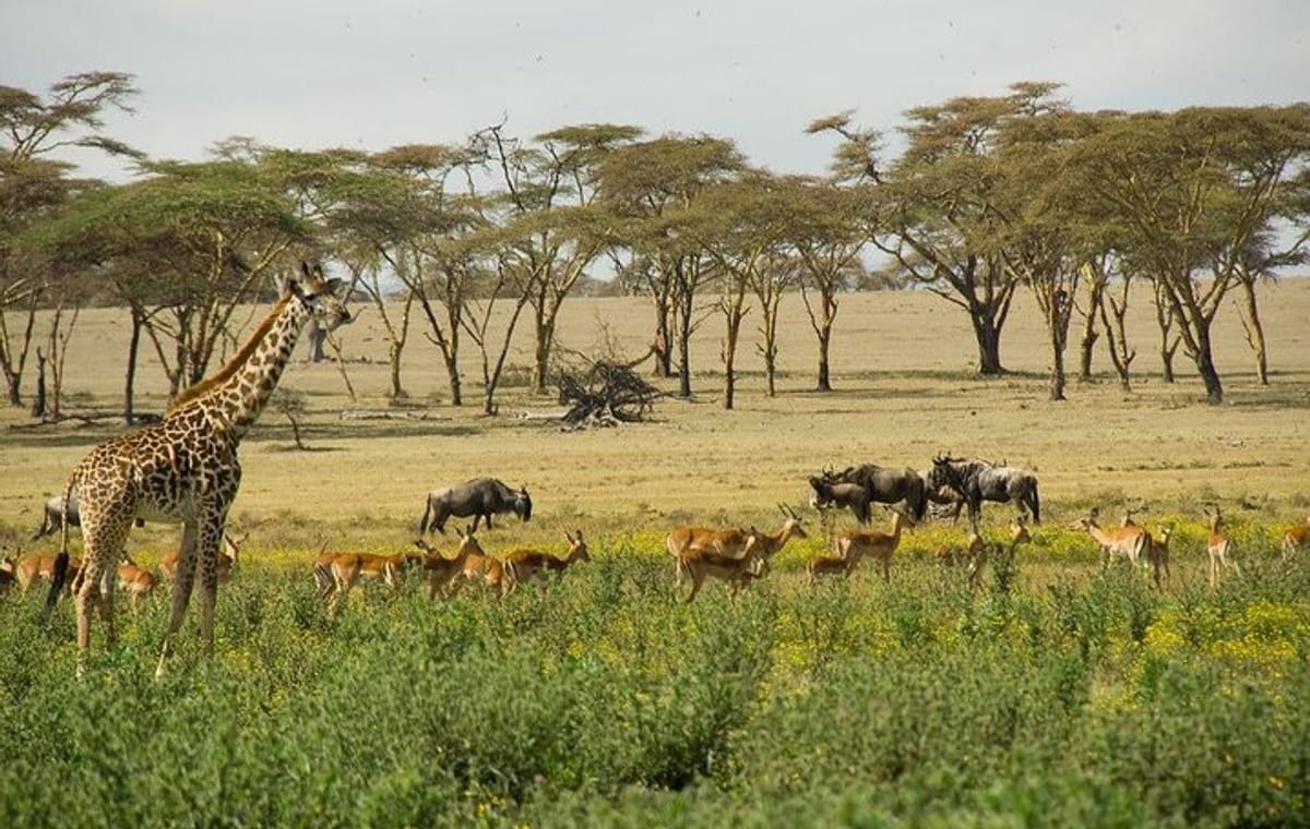 Crescent Island Guided Day Tour From Nairobi