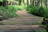 Doi Tung & Royal Villa 6