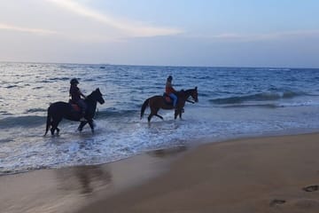 Private Horse Riding Activity in Port City