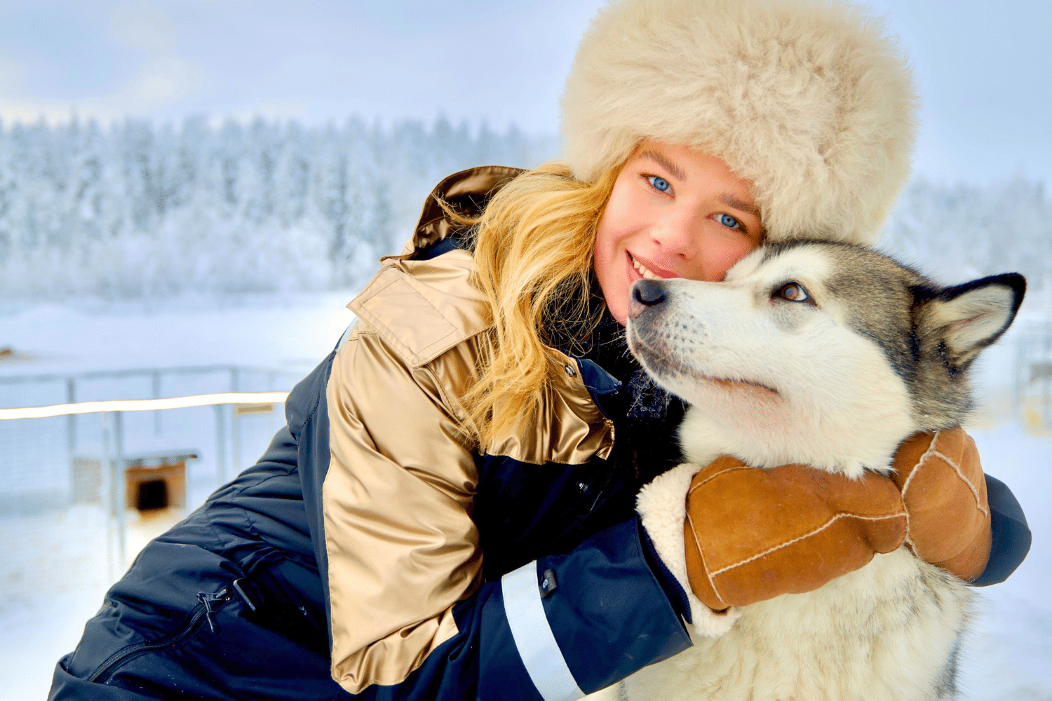 Short Husky Ride and Introduction