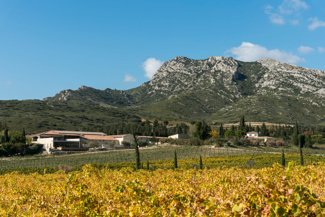 Visite du Domaine du Vallon des Glauges et dégustation 4