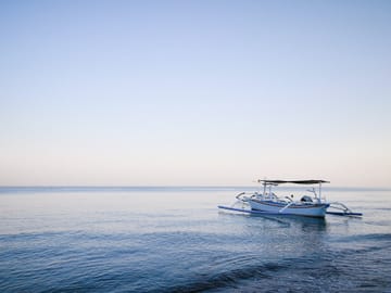 Lovina Dolphin Watching, Snorkeling and Waterfall Tour in Bali