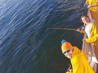 Reykjavik City Walk and Sea Angling, photo 18