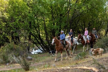 2-Day El Calafate Escape with Optional Airfare from Buenos Aires