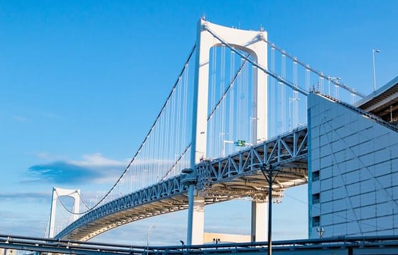 Tokyo Highlights Private Full Day City Tour With English Guide