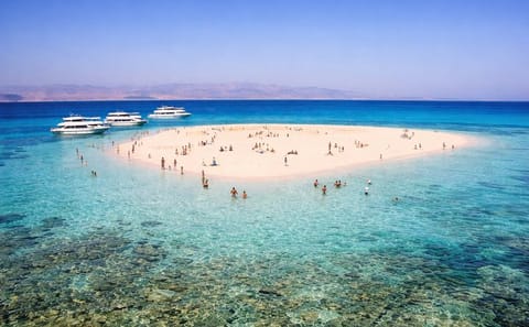 Ras Mohammed & White Island Snorkeling & Diving – Sharm El Sheikh
