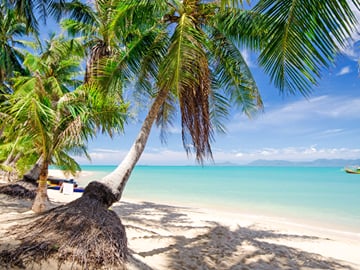 Samui Relax & Sightseeing