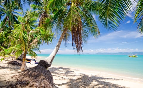 Samui Relax & Sightseeing