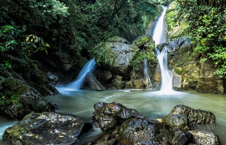 Chullachaqui Falls and Nature Exploration in Tingo María